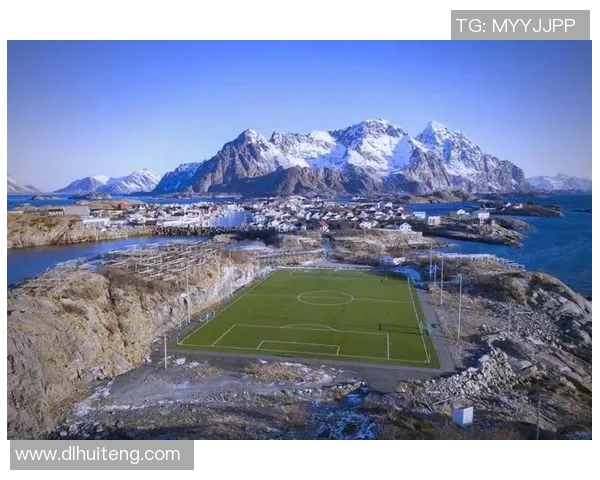 波斯尼亚足球明星的崛起与成就：从草根到国际舞台的辉煌之路